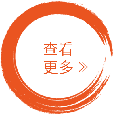 查看更多